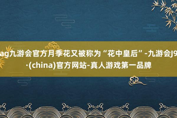 ag九游会官方月季花又被称为“花中皇后”-九游会J9·(china)官方网站-真人游戏第一品牌